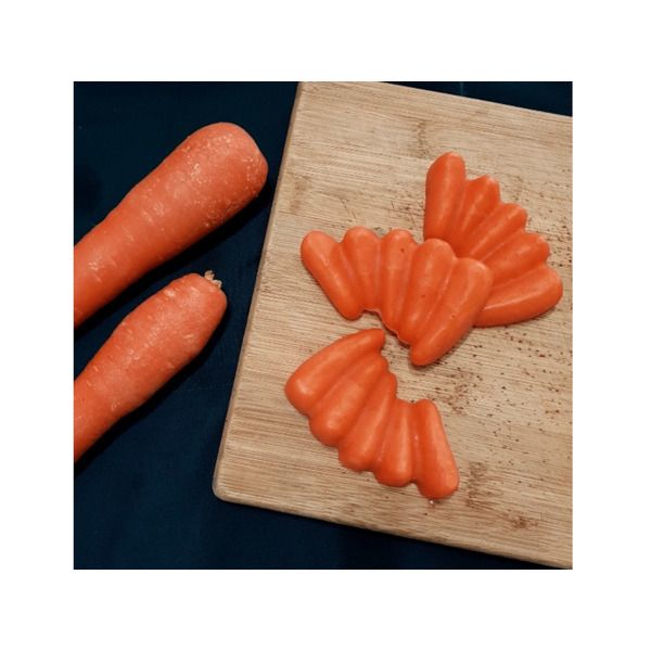 Puree Food Molds Silicone Rubber Baby Carrots Mold - 11 1/4L x 9 1/2W x  1H