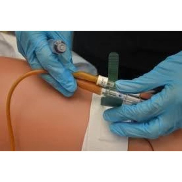 Catheter Care Training 2 Care UK Ltd