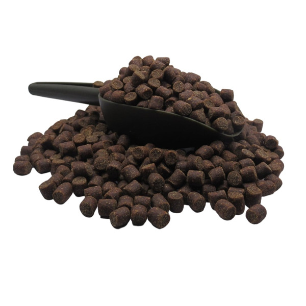 FISH BLOOD & ORANGE Boilies in 5kg Pack (Shelf Life) - Knights Fishing