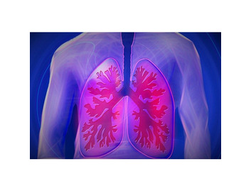 Chronic Obstructive Pulmonary Disease (COPD)