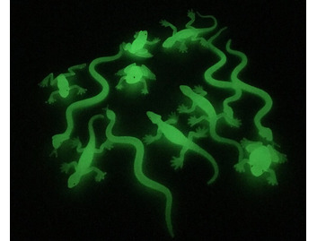 UV Glow In Dark Reptiles Set