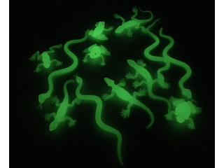 UV Glow In Dark Reptiles Set
