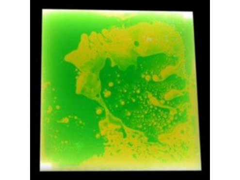 Floor Tile Green and Yellow Light Up 50cm Interactive Sensory Liquid