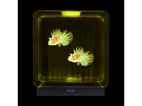 Jellyfish Tank Square For Visual Stimulation and Home Decor