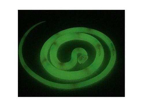 UV Glow In Dark Snake