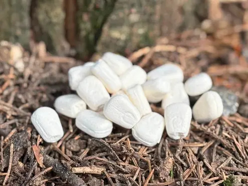 Cornz Plastic Free Pop Ups White