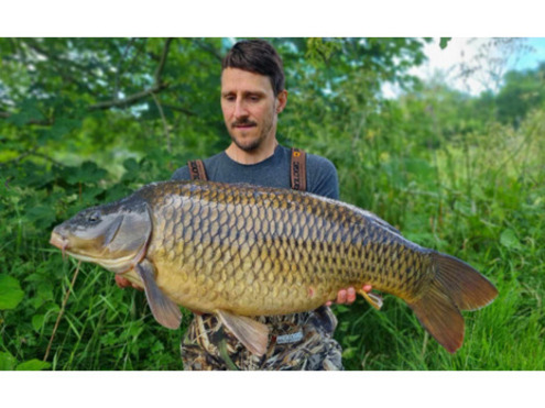Frozen 18mm Boilies Crustazia
