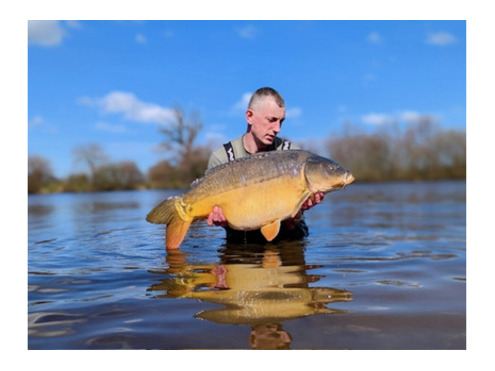 Frozen 15mm Boilies Crustazia