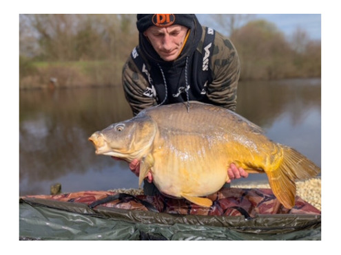 Frozen 15mm Boilies Crustazia