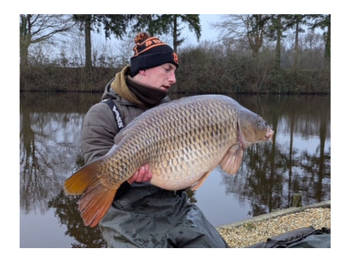 Frozen 18mm Boilies Crustazia