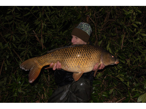 Frozen 18mm Boilies Cold Water Green Beast