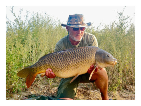 Critical Balanced Hook Baits Green Beast