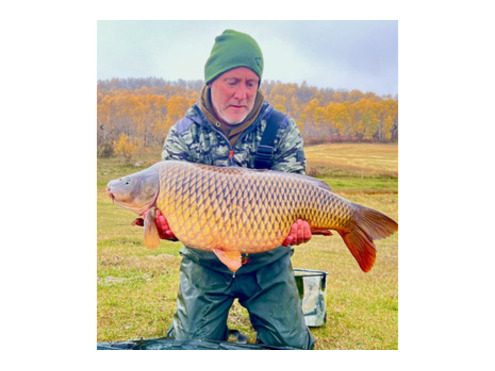 Critical Balanced Hook Baits Green Beast