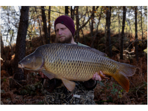Hook Baits (Hard) Cold Water Green Beast
