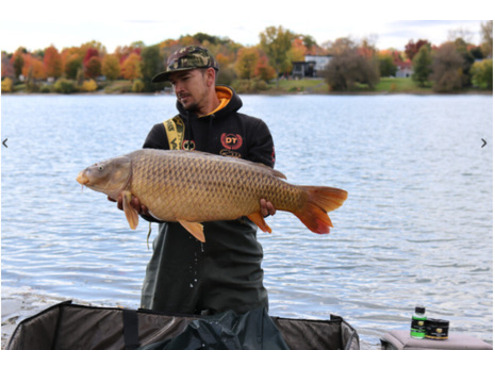 Pop Ups Cold Water Green Beast