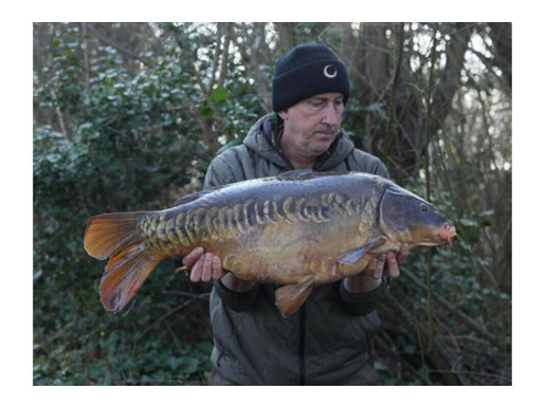 Pop Ups Cold Water Green Beast