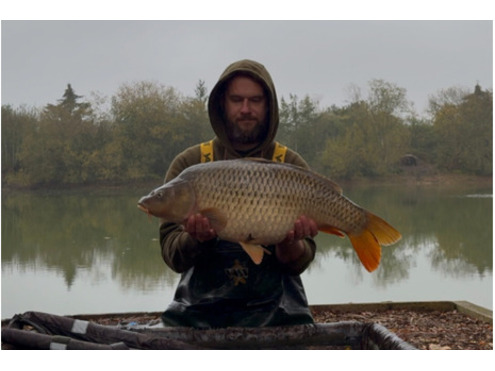 Dumbell Wafters Take 4 Cold Water Green Beast