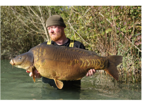Dumbell Wafters Take 4 Cold Water Green Beast