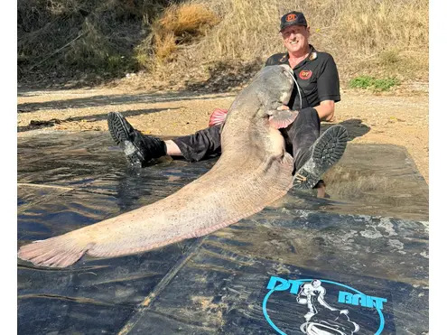 Boilie Pellets 22mm Halibut 1kg