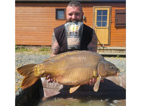 Frozen 15mm Boilies N Blend