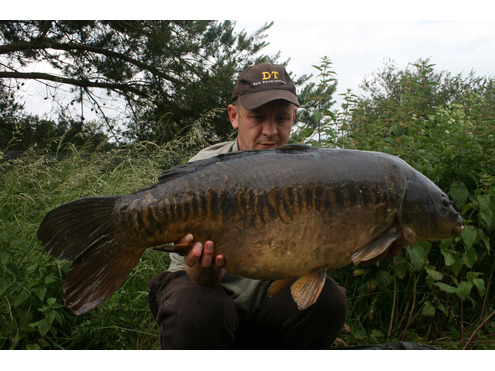 Boilies 18mm Cold Water Green Beast Shelf-Life