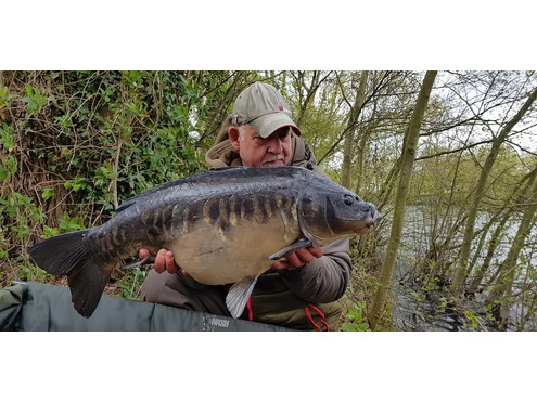 Pop Ups Cold Water Green Beast
