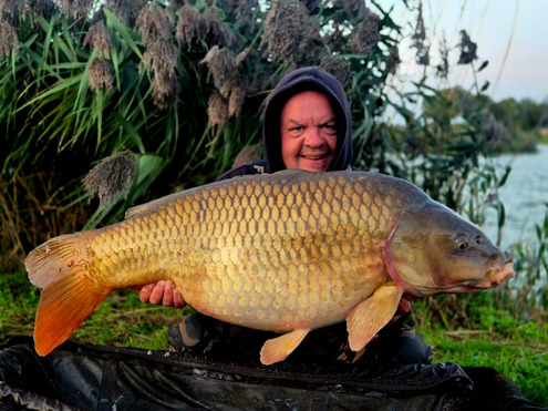 Oily Chicken 8mm Boilies 500g