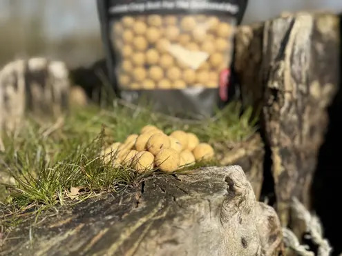 COLD WATER GREEN BEAST Boilies in 1kg Resealable Bags (Shelf Life)