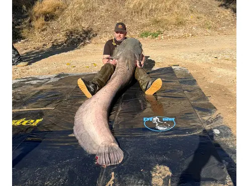 Boilie Pellets 22mm Halibut 1kg