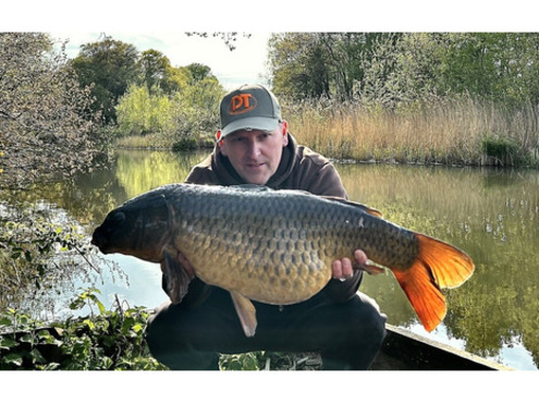 Boilies 15mm N Blend Shelf-Life