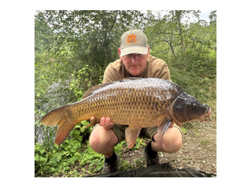Hook Baits (Hard) N Blend