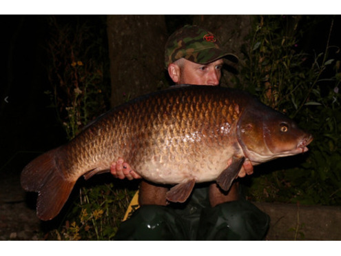 Frozen 18mm Boilies N Blend