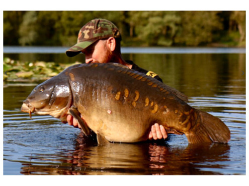 N-BLEND Boilies in 1kg Resealable Bags (Shelf Life)