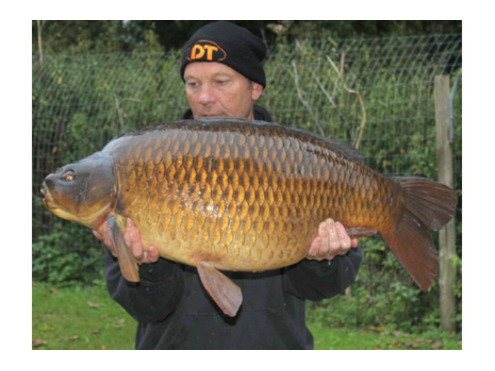 Frozen 18mm Boilies N Blend