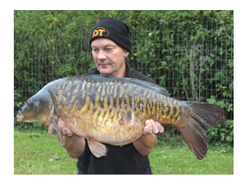 Boilies 15mm N Blend Shelf-Life