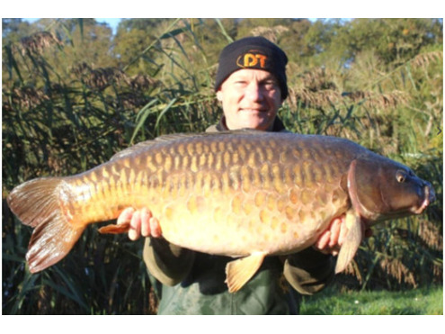 Critical Balanced Hook Baits N Blend & Chocolate