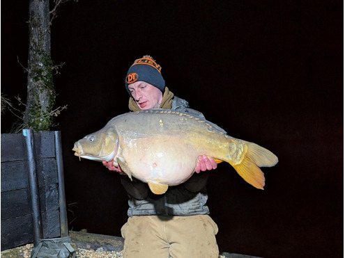Critical Balanced Hook Baits Crustazia & Spice