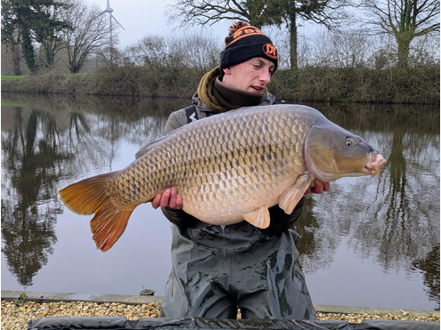 Critical Balanced Hook Baits Crustazia & Spice