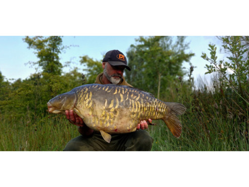 Dumbell Wafters Take 4 Crustazia