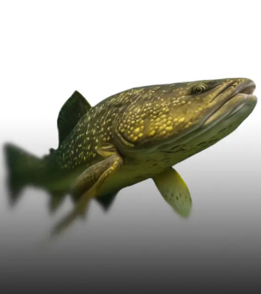 Pike Specialist