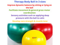 Anti Burst Therapy Ball