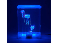 Jellyfish Tank LED Mood Light with Glowing Jelly Fish with 5 Colour Settings