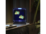 Jellyfish Tank Square For Visual Stimulation and Home Decor
