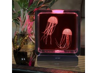 Jelly Fish Tank Square For Visual Stimulation and Home Decor